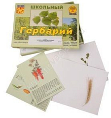 http://novacia72.ru/d/383128/d/bio-036.jpg
