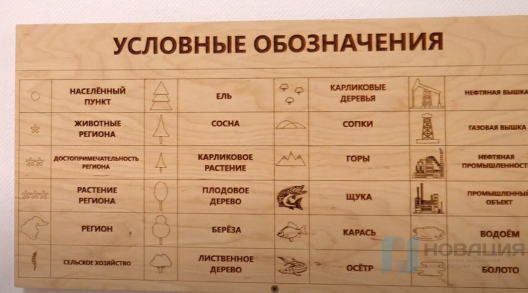 Карта регионов России деревянная